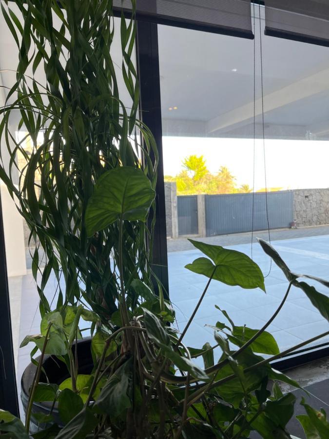 Crystal House Lejlighed Angra do Heroísmo Eksteriør billede